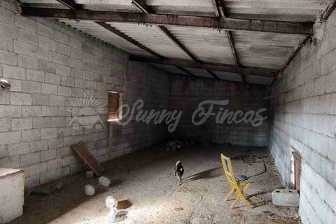 Landejendom i Almansa, Albacete, Almansa - € 125.000 | Ref: SF0553 - foto 24